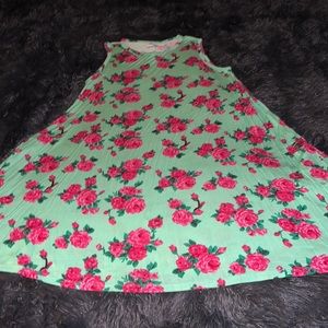 Honey & Lace L Large Mint Green and Pink Floral Sleeveless Sunnyvale Dress